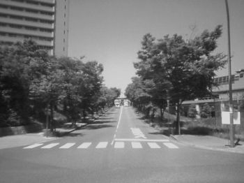 IMG_000312.jpg ( 19 KB )