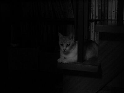 IMG_000326.jpg ( 10 KB )