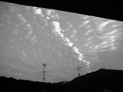 IMG_000355.jpg ( 21 KB )
