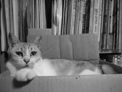 - (natsumoto)
