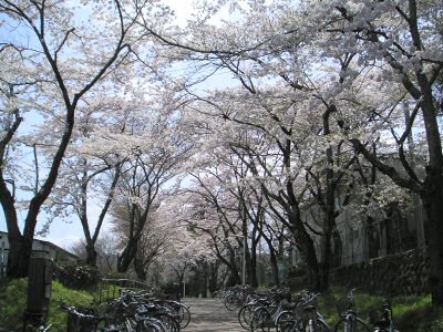 ���g���l��